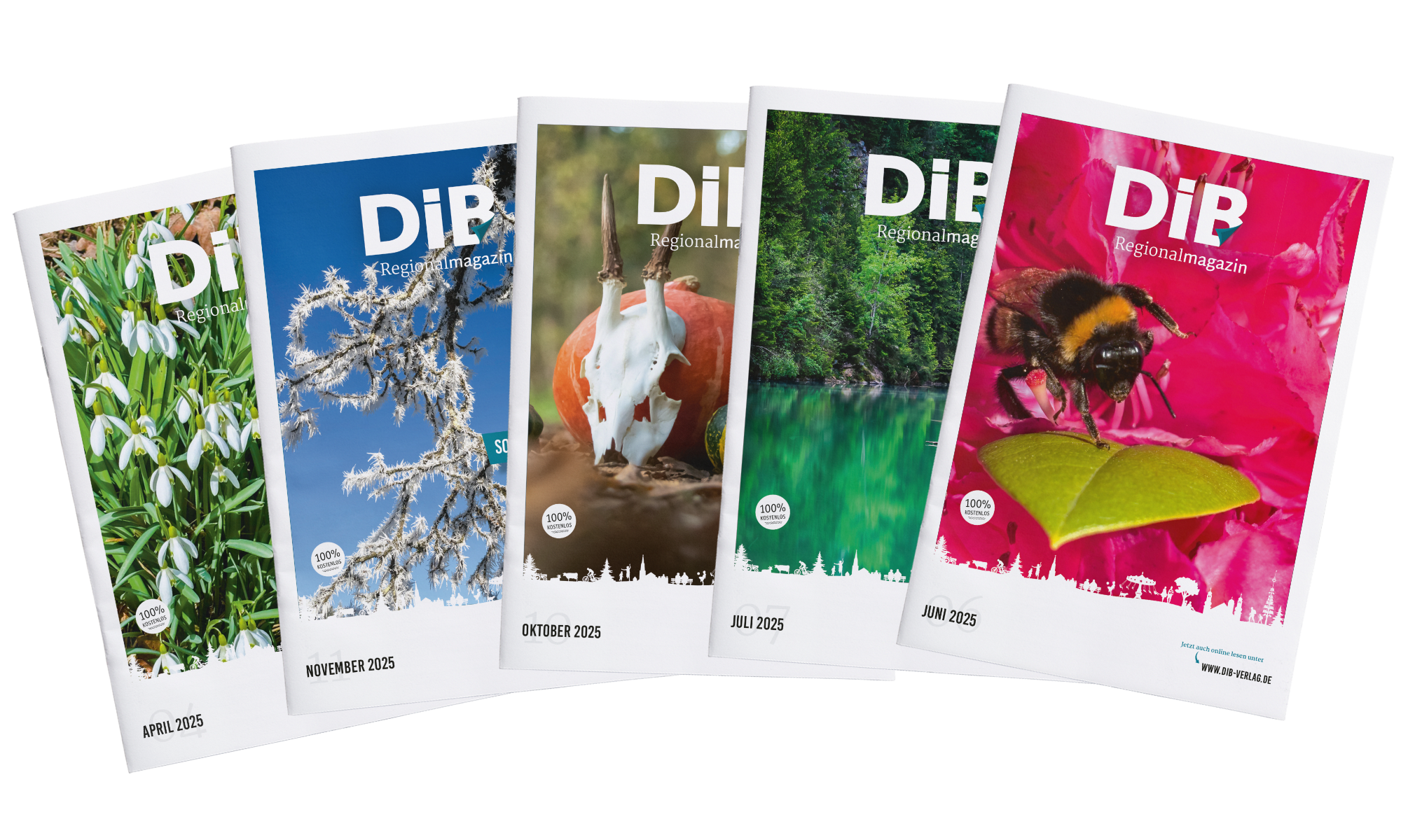 DiB Regionalmagazin — aktuelle Ausgaben im Überblick